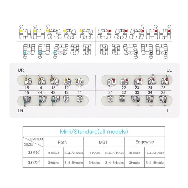 Best Sold White-Card Wholesale Dental Bondable Metal Brackets