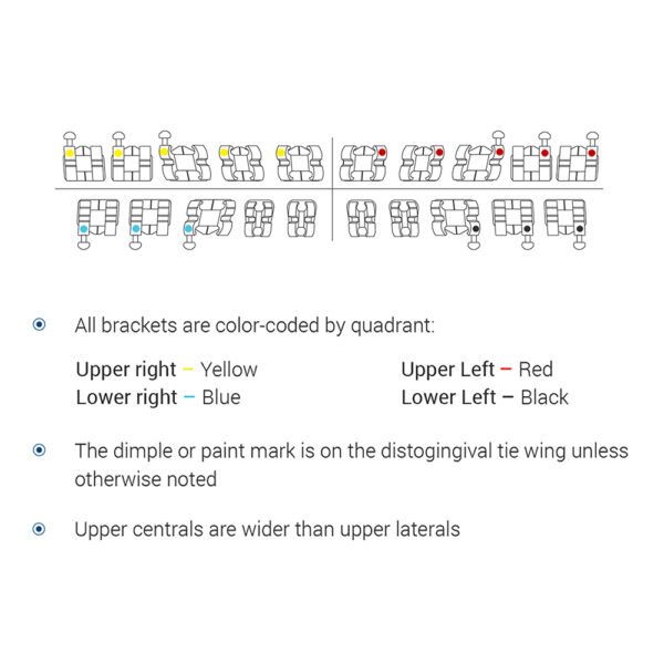 Best Sold White-Card Wholesale Dental Bondable Metal Brackets