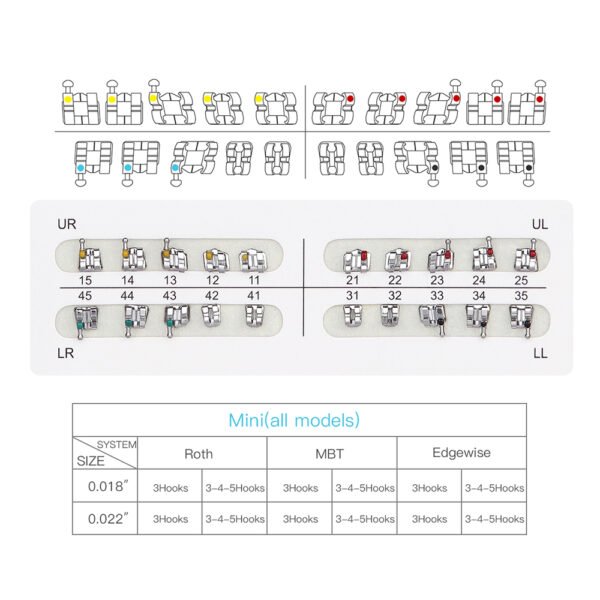 Best Sold White-Card Wholesale Dental Bondable Metal Brackets